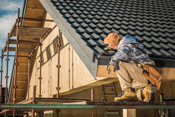Best Roof Coating and Sealing  in Dowagiac, MI
