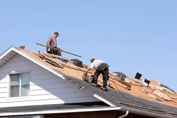Best Roof Insulation Installation  in Dowagiac, MI