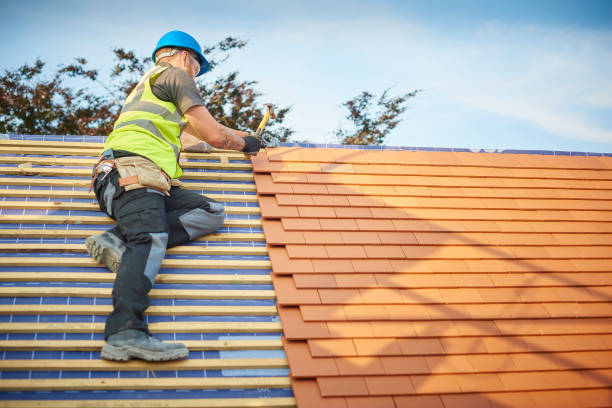 Best Asphalt Shingle Roofing  in Dowagiac, MI