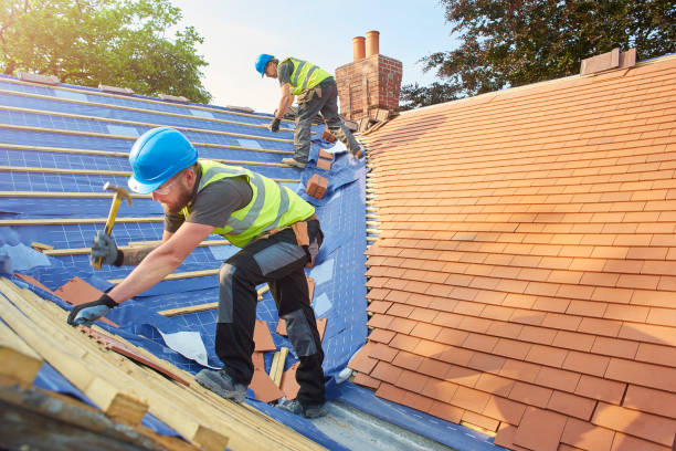 Best Roof Maintenance and Cleaning  in Dowagiac, MI